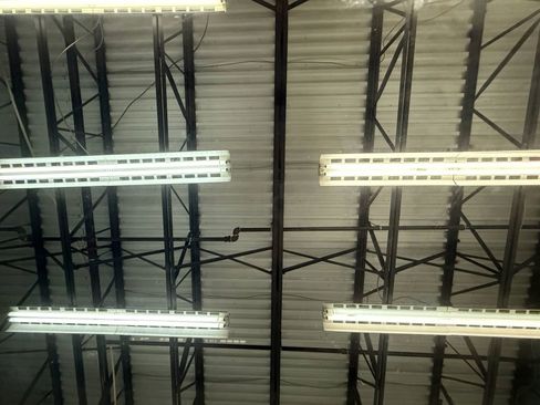 Used 2021 Lexus ES 250 w/ Premium Package image 37