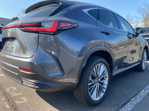 Used 2025 Lexus NX 350h AWD w/ Cold Area Package image 4