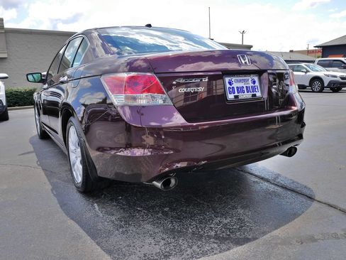 Used 2010 Honda Accord EX-L image 5