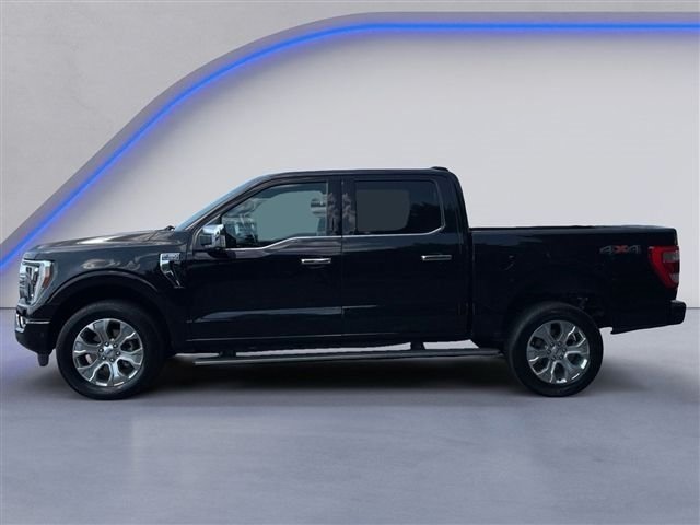 Used 2023 Ford F150 Platinum w/ Equipment Group 701A High AWD/4WD image 5