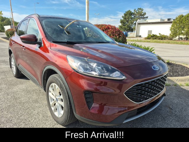 Used 2021 Ford Escape SE w/ Cold Weather Package AWD/4WD image 7