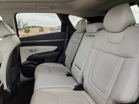 Used 2024 Hyundai Tucson Limited image 5