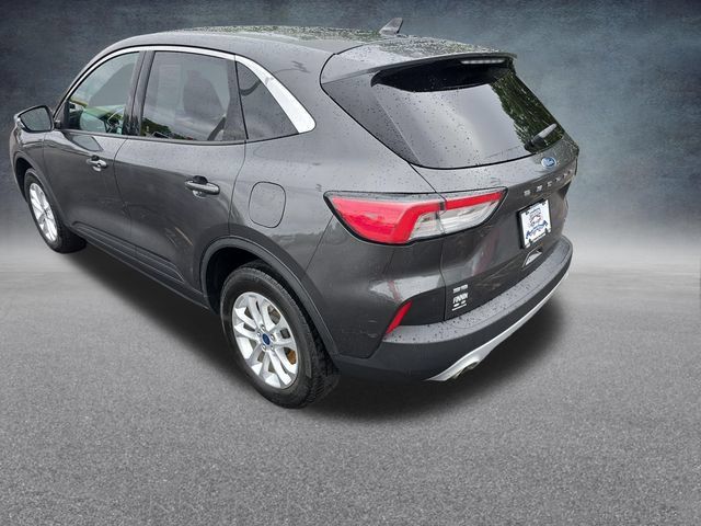 Used 2020 Ford Escape SE AWD/4WD image 5