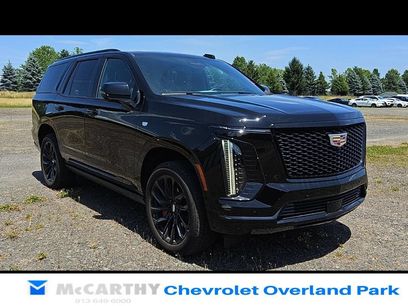 Used 2025 Cadillac Escalade Sport