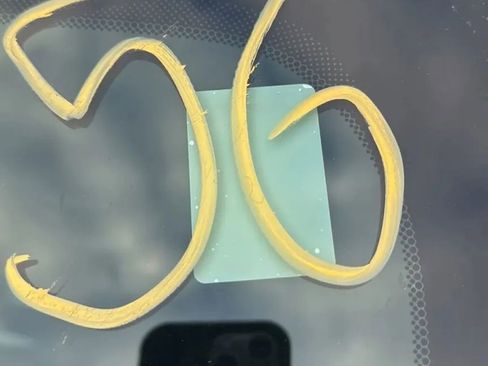 Used 2017 Dodge Charger SE w/ Power Sunroof Group image 30