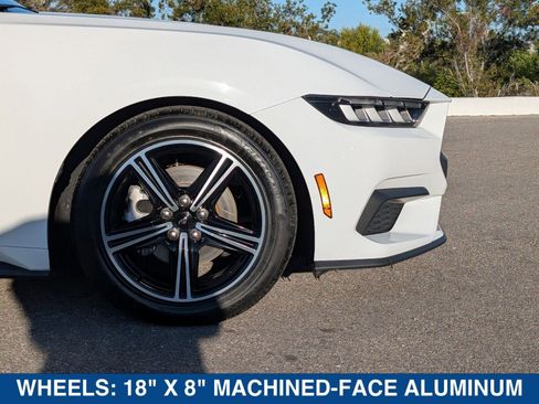 Certified 2024 Ford Mustang Premium image 11