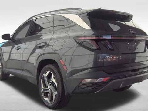 Used 2023 Hyundai Tucson Limited AWD/4WD image 7