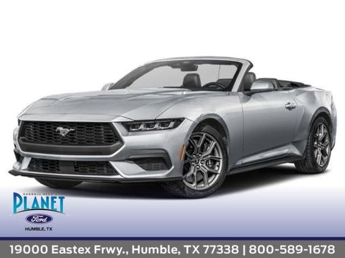 Used 2025 Ford Mustang Premium image 1
