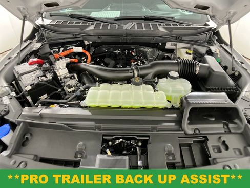 New 2025 Ford F150 XLT w/ Equipment Group 302A MID image 28