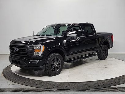 Used 2023 Ford F150 XLT w/ Equipment Group 302A High
