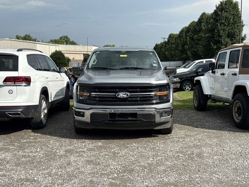 Used 2025 Ford F150 XLT w/ Equipment Group 301A Standard RWD image 2
