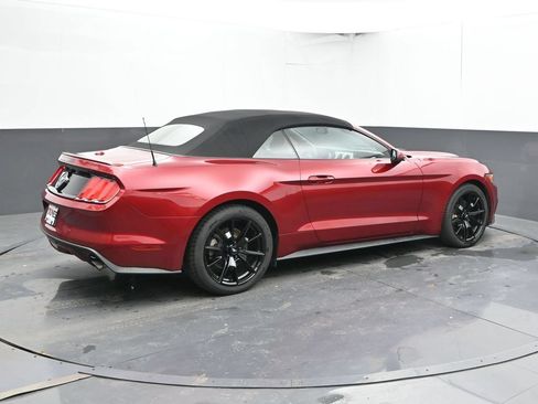Used 2015 Ford Mustang Premium w/ Equipment Group 201A RWD image 2
