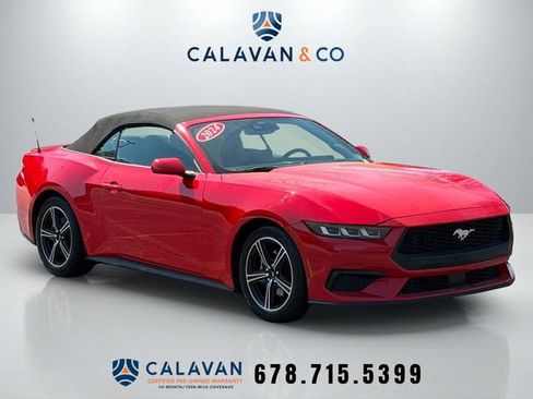 Used 2024 Ford Mustang Premium image 1