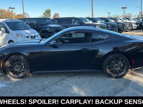 New 2026 Ford Mustang Coupe RWD image 4