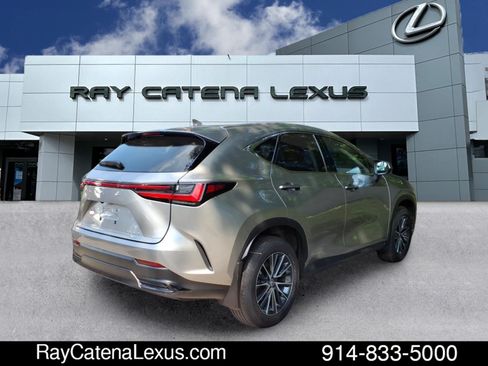 Certified 2024 Lexus NX 350 AWD w/ Cold Area Package image 4