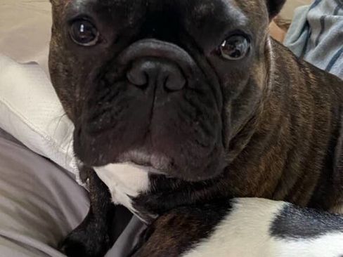 Used 2018 Ford F150 XL w/ Equipment Group 101A Mid image 48