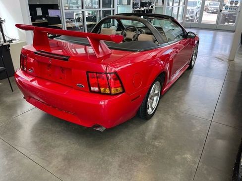 Used 1999 Ford Mustang Cobra image 22