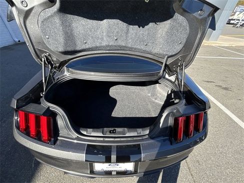 Used 2017 Ford Mustang Shelby GT350 image 21