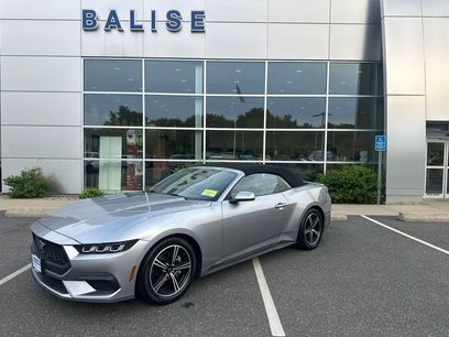 Used 2024 Ford Mustang Premium
