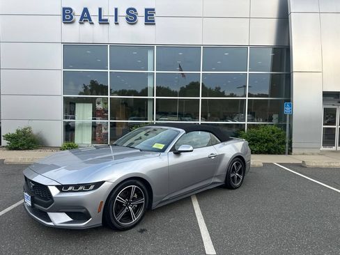 Used 2024 Ford Mustang Premium RWD image 1