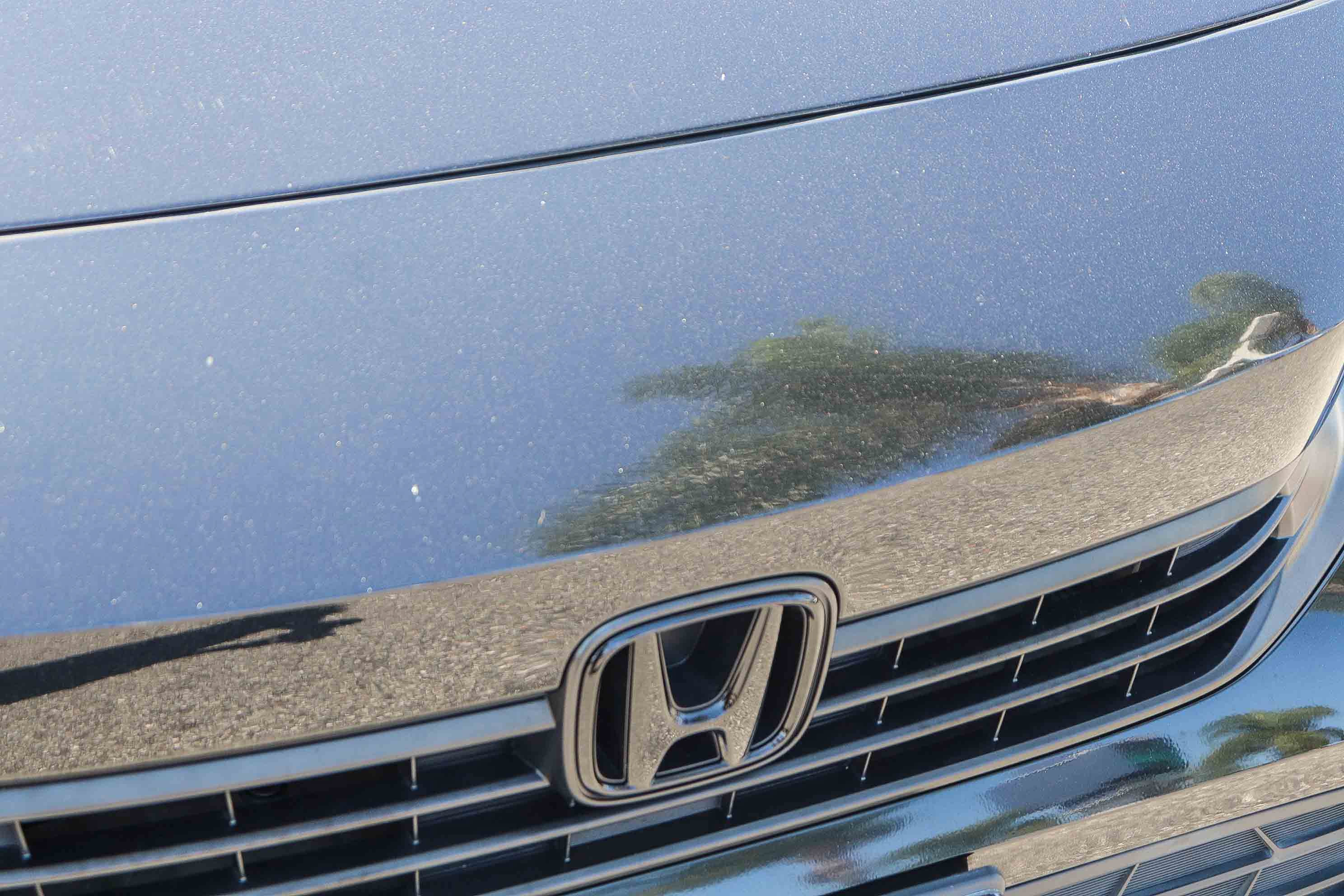 Certified 2024 Honda Civic Sport image 4