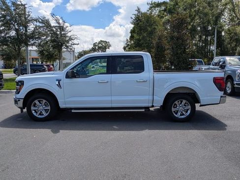 Used 2025 Ford F150 XLT w/ Equipment Group 301A Standard RWD image 6