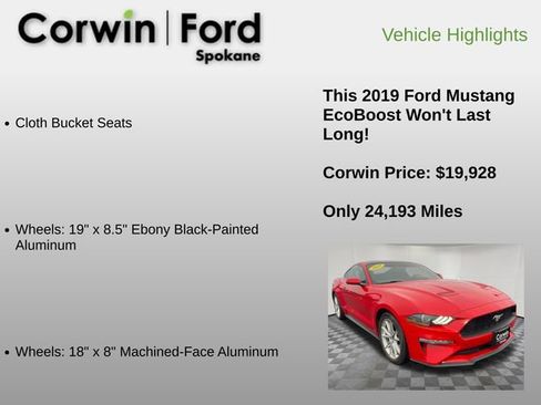 Used 2019 Ford Mustang Coupe w/ Equipment Group 101A image 24
