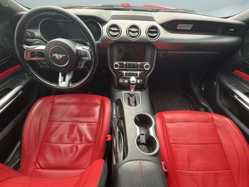 Used 2019 Ford Mustang Premium w/ Equipment Group 201A RWD image 7
