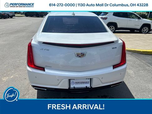 Used 2019 Cadillac XTS Luxury AWD/4WD image 5