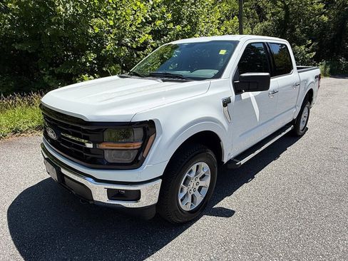 Used 2025 Ford F150 XLT w/ Equipment Group 301A Standard AWD/4WD image 2