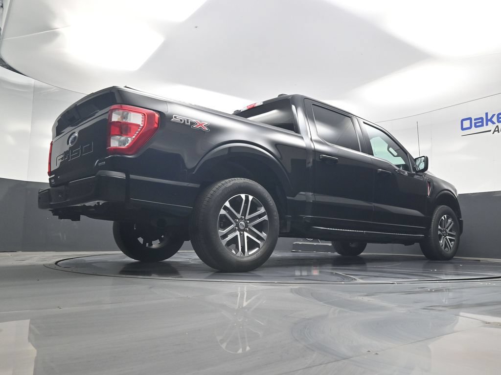 Used 2023 Ford F150 XL w/ STX Appearance Package RWD image 15