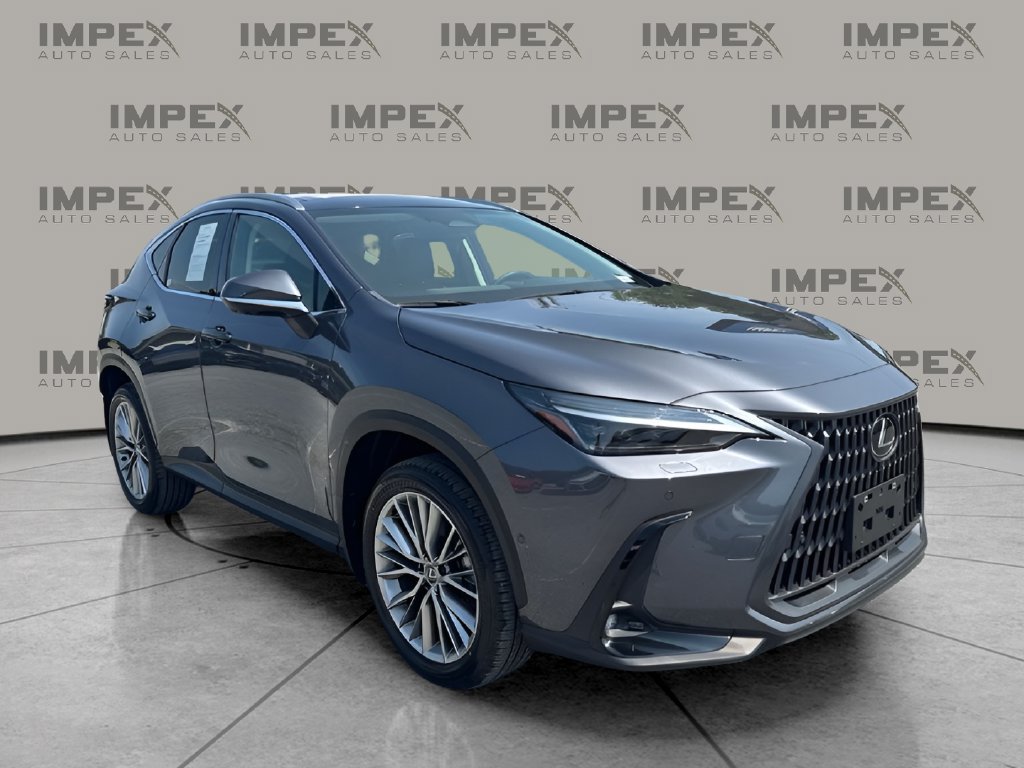 Used 2024 Lexus NX 350h AWD w/ Vision Package image 4