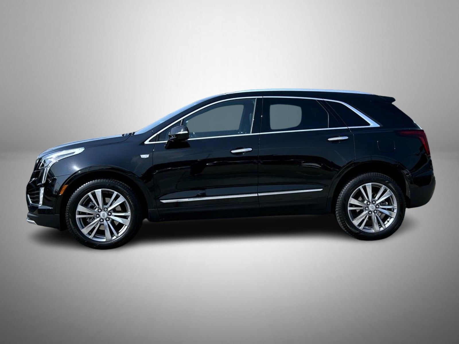 Used 2023 Cadillac XT5 Premium Luxury AWD/4WD image 8
