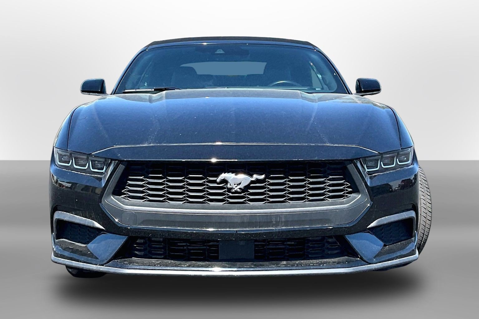 Used 2024 Ford Mustang Premium RWD image 3