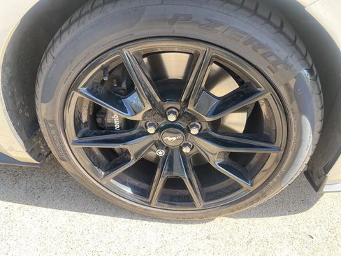Used 2015 Ford Mustang 50 Years RWD image 10