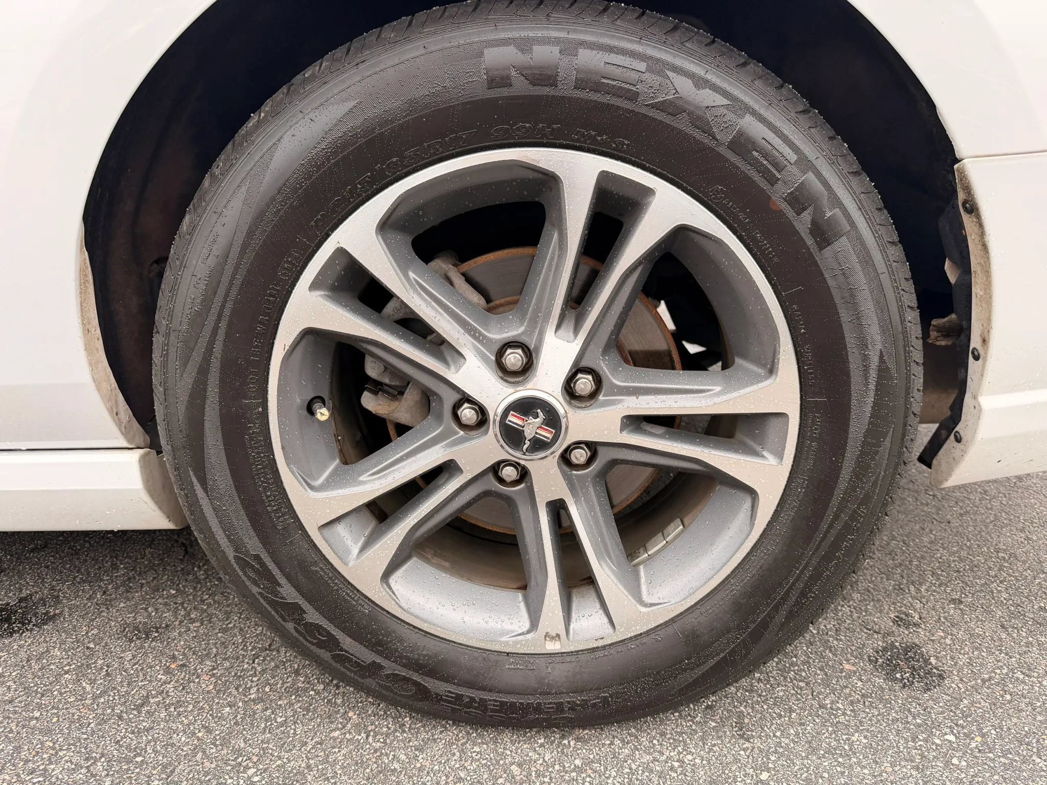 Used 2014 Ford Mustang Premium RWD image 35