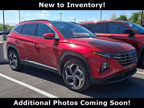 Used 2023 Hyundai Tucson Limited AWD/4WD image 1