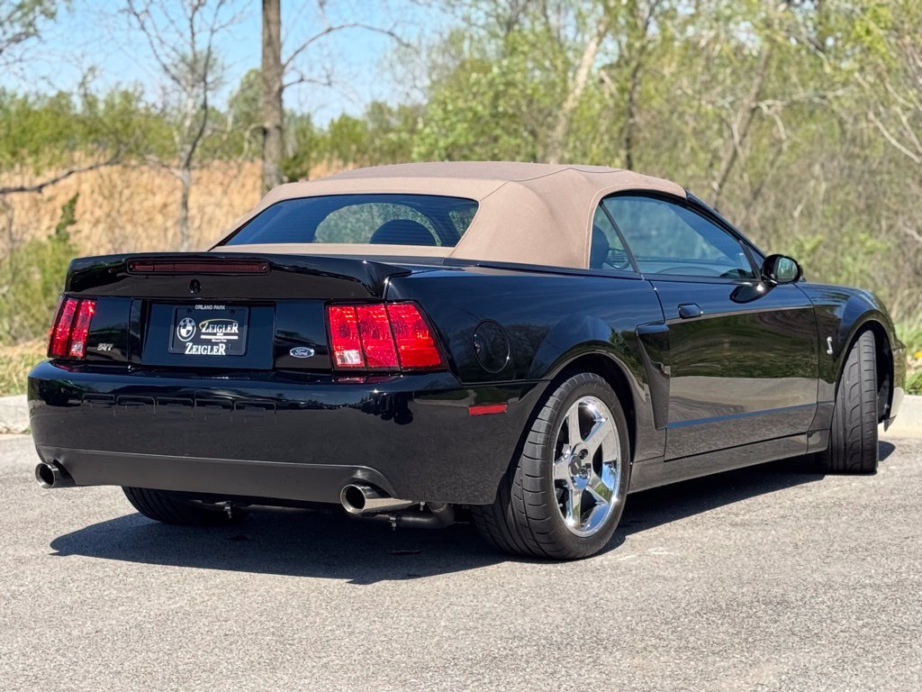 Used 2003 Ford Mustang Cobra RWD image 6