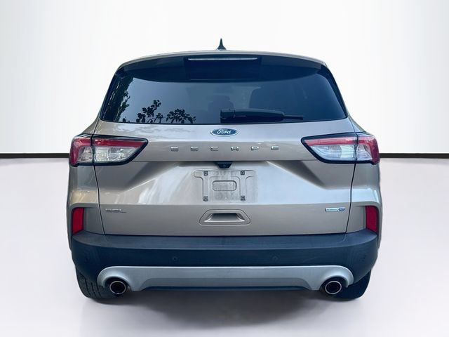 Used 2020 Ford Escape SEL AWD/4WD image 7