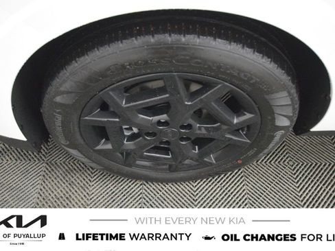 New 2026 Kia Carnival SX image 21