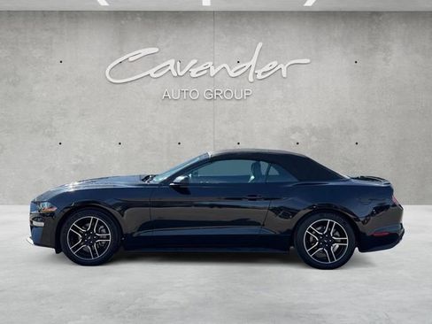 Used 2023 Ford Mustang Premium image 13