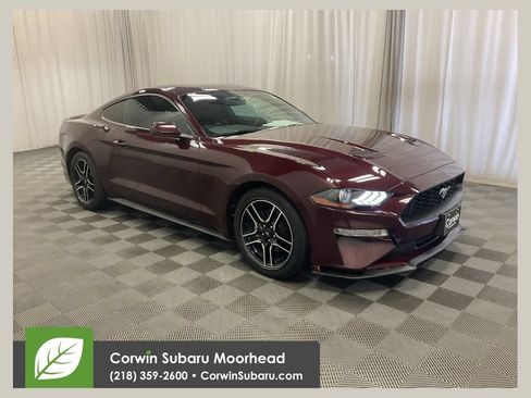 Used 2018 Ford Mustang Premium w/ Equipment Group 201A RWD image 1