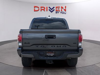 Used 2023 Toyota Tacoma Limited w/ Nightshade Package
