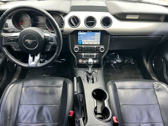 Used 2017 Ford Mustang Premium RWD image 12