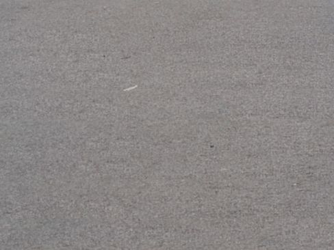 Used 2024 Ford Edge SEL w/ Sport Appearance Package image 16