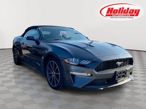 Used 2019 Ford Mustang Premium w/ Equipment Group 201A RWD image 1