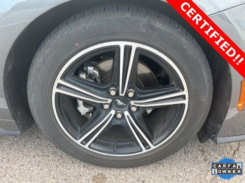 Used 2024 Ford Mustang Premium image 5