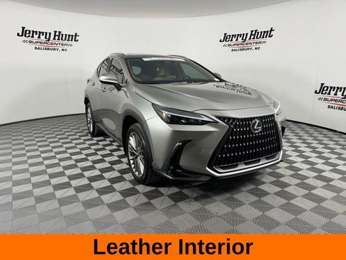 Used 2025 Lexus NX 350h AWD w/ Premium Package image 6