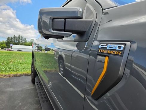 Used 2021 Ford F150 Tremor w/ Equipment Group 402A High AWD/4WD image 7