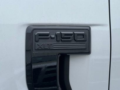 New 2025 Ford F150 XLT w/ Equipment Group 301A Standard